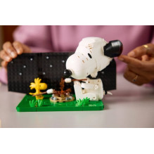 LEGO 21368 Peanuts: Snūpio šuns būda