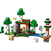 LEGO 21593 First Night Adventure