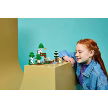 LEGO 21593 First Night Adventure