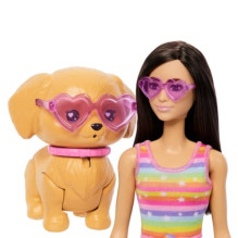 MATTEL Pets Skate and Run Brunette Doll JMJ45 MATTEL Pets Skate and Run Brunette Doll JMJ45