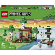 LEGO 21593 Pirmosios nakties nuotykis LEGO 21593 Pirmosios nakties nuotykis