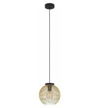 Luminaire hanging Eglo VENEZUELA, 40 W, E27, 900166 Luminaire hanging Eglo VENEZUELA, 40 W, E27, 900166