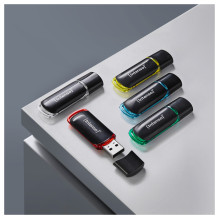 LAZDELĖ Intenso USB atmintinės verslo linija 32GB 5-pack