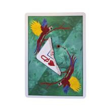 Kosmetinis defektas Infinity Playing Cards kortos Difatta