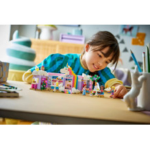 Constructor - LEGO FRIENDS...