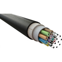 12-fiber single-mode...