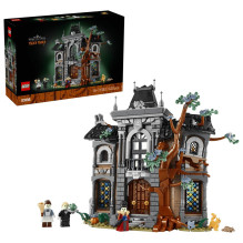 Konstruktorius - LEGO ICONS...