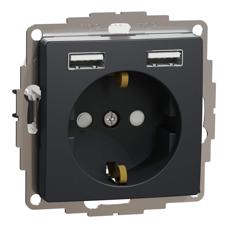 Kištukinis lizdas su įžeminimu Schneider Electric Sedna Design SDD114052 (antracitas, 2xUSB-A)