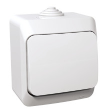 Class 1 switch Cedar Plus...