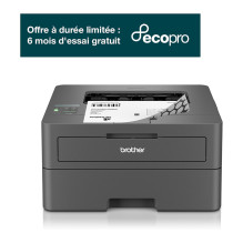 Brother HL-L2445DW laser printer