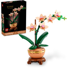 LEGO Botanicals Mini-Orchidee 10343