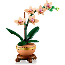 LEGO Botanicals Mini-Orchidee 10343