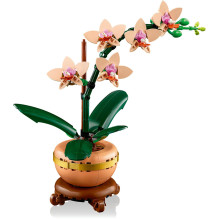 LEGO Botanicals Mini-Orchidee 10343