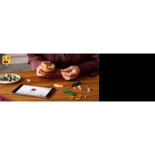 LEGO Botanicals Mini-Orchidee 10343
