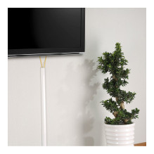 ROLINE 19.08.3111 cable accessory
