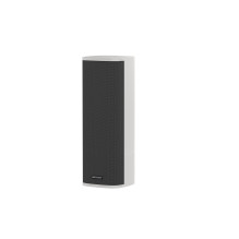 IP pastatomas garsiakalbis Hikvision DS-QAZ1460G1 (IP, 60W, 85dB, 8 Om)