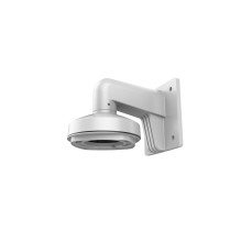 Hikvision krošteinas...