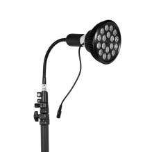 Medivon Red Light Therapy Lamp Lumera Go Medivon Red Light Therapy Lamp Lumera Go