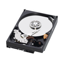 Disko serveris WD Purple 3TB 3,5 colio SATA III (6 Gb / s) (WD34PURZ)