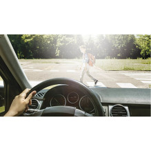 WEDO berzieh-Sonnenbrille fr Autofahrer incl. Etui schwarz (27148599) WEDO berzieh-Sonnenbrille fr Autofahrer incl. Etui schwarz (27148599)