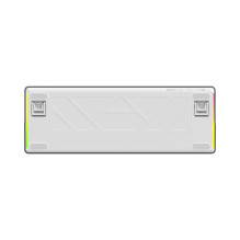 White Shark EXCALIBUR M GK-009251 White US