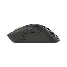 White Shark MORIEN WGM-5025 Black