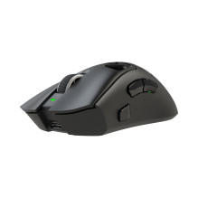 White Shark MORIEN WGM-5025 Black