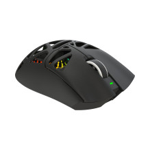 White Shark MORIEN WGM-5025 Black