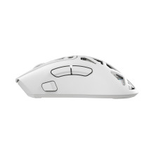 White Shark MORIEN WGM-5025 White