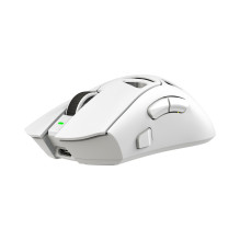 White Shark MORIEN WGM-5025 White
