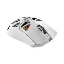 White Shark MORIEN WGM-5025 White