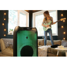 Speaker with Bluetooth and karaoke party box Blaupunkt PB10DB Speaker with Bluetooth and karaoke party box Blaupunkt PB10DB