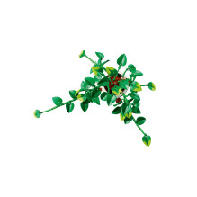 LEGO BOTANICALS 11512 Kabantis drakonas Ivy LEGO BOTANICALS 11512 Kabantis drakonas Ivy