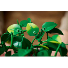LEGO BOTANICALS 11512 Kabantis drakonas Ivy LEGO BOTANICALS 11512 Kabantis drakonas Ivy