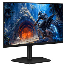 63,5 cm (25") 1920 x 1080 Pixel SAMSUNG LS25HG402EUXEN 16:9 Full HD IPS 1 ms 300 Hz HDR DisplayPort HDMI Pivot Heig