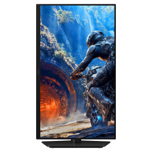 63,5 cm (25") 1920 x 1080 Pixel SAMSUNG LS25HG402EUXEN 16:9 Full HD IPS 1 ms 300 Hz HDR DisplayPort HDMI Pivot Heig