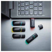 LAZDELĖ Intenso USB atmintinės verslo linija 16GB 5-pack