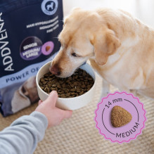 ADDVENA Power of Nature Senior Medium / Large Lamb - dry dog food - 10kg ADDVENA Power of Nature Senior Medium / Large Lamb - dry dog food - 10kg
