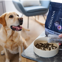 ADDVENA Power of Nature Senior Medium / Large Lamb - dry dog food - 10kg ADDVENA Power of Nature Senior Medium / Large Lamb - dry dog food - 10kg