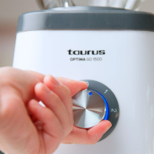Taurus OPTIMA GO 1500 ąsočių maišytuvas