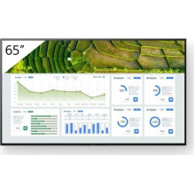 Monitorius Sony Bravia FW-65BZ30L