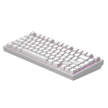 dark project Terra Nostra G3MS Moonstone Switch, RU White