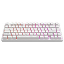 dark project Terra Nostra G3MS Moonstone Switch, RU White