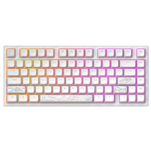 dark project Terra Nostra G3MS Moonstone Switch, RU White