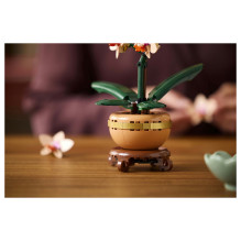 LEGO Botanicals Mini-Orchidee 10343