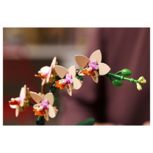LEGO Botanicals Mini-Orchidee 10343