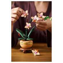 LEGO Botanicals Mini-Orchidee 10343
