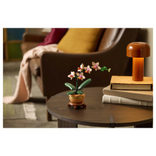 LEGO Botanicals Mini-Orchidee 10343