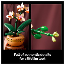 LEGO Botanicals Mini-Orchidee 10343