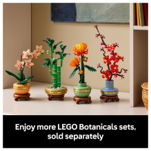 LEGO Botanicals Mini-Orchidee 10343